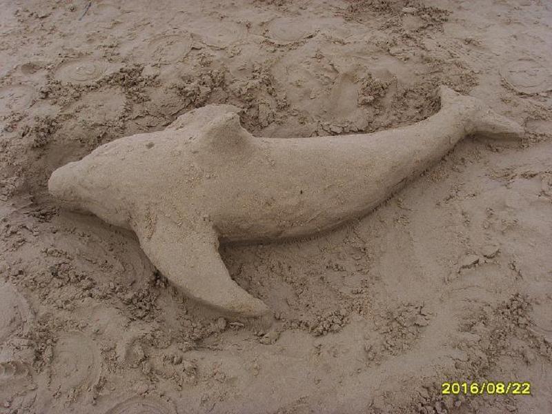Delfin